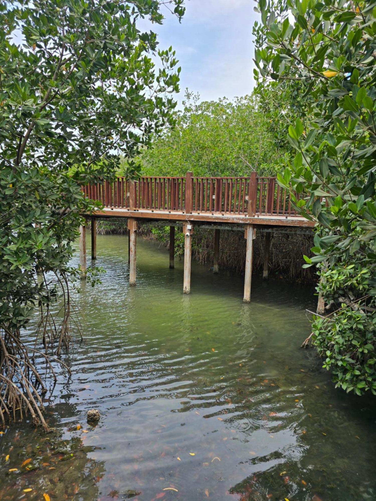 Hotel Los Veleros Santa Marta ภายนอก รูปภาพ